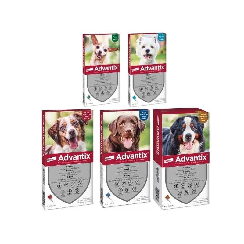 Advantix Spot On 6 Pipette
