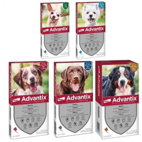 Advantix Spot On 6 Pipette