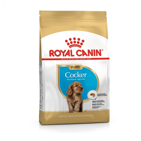Cocker Junior