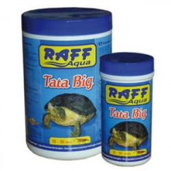 Raff - Tata Big