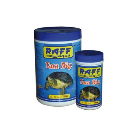 Raff - Tata Big