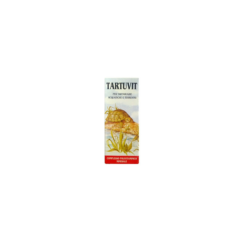 Chifa - Tartuvit Chifa - Tartuvit