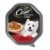 Cesar - Scelta dello Chef
