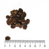 Exigent Adult Wild Boar Quail Pheasant & Potato