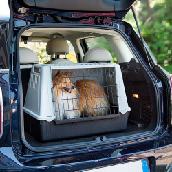 Trasportino Atlas Car Mini