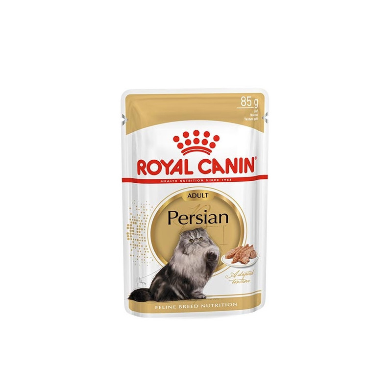 Adult Persian Adult Persian