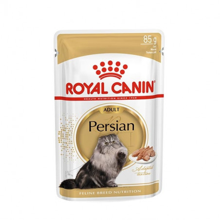 Adult Persian