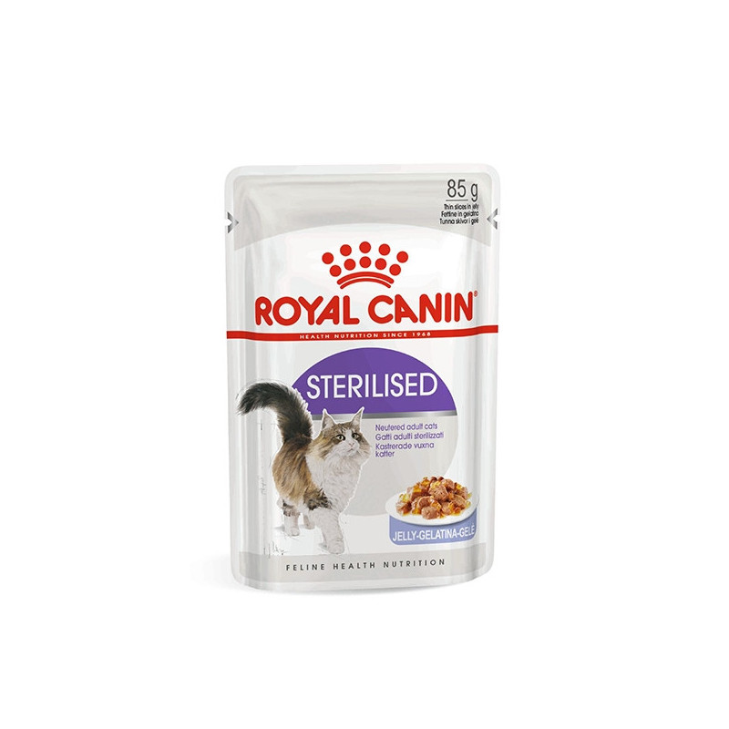 Sterilised 37 in Jelly Sterilised 37 in Jelly