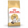 Royal Canin - Ragdoll