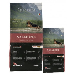 Quanim Salmone – High Premium