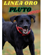 Linea Pluto alimento completo per tutte i razze di cane