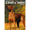 Linea Oro